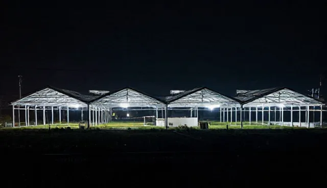 宣传效果提升的5大检查要点及适用条件分析